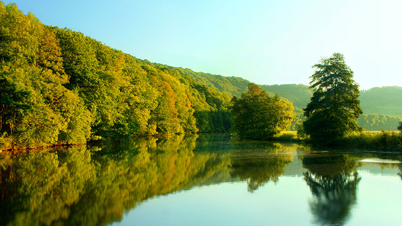 房卡教程“微信金花链接房卡怎么弄”获取房卡方法教程